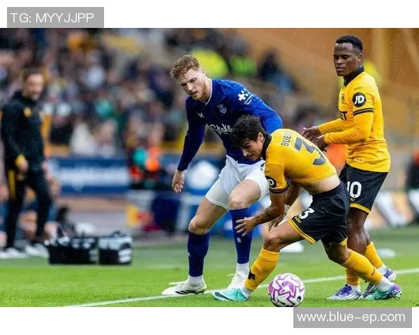 维拉与埃弗顿对决分析及比赛前瞻详解